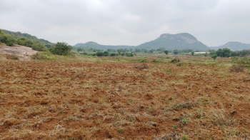 14 Acre Agricultural/Farm Land for Sale in Palacode, Dharmapuri