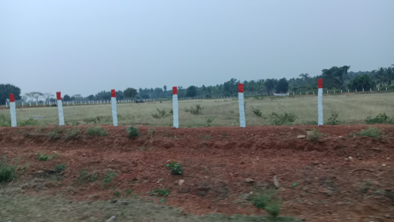 6 Acre Agricultural/Farm Land for Sale in Nanjangud, Mysore