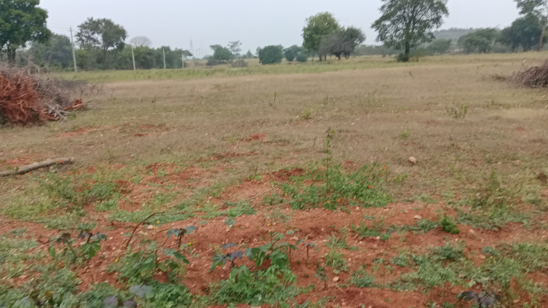 6 Acre Agricultural/Farm Land for Sale in Nanjungud Road Nanjungud Road, Mysore