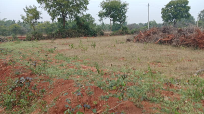 6 Acre Agricultural/Farm Land for Sale in Nanjungud Road Nanjungud Road, Mysore
