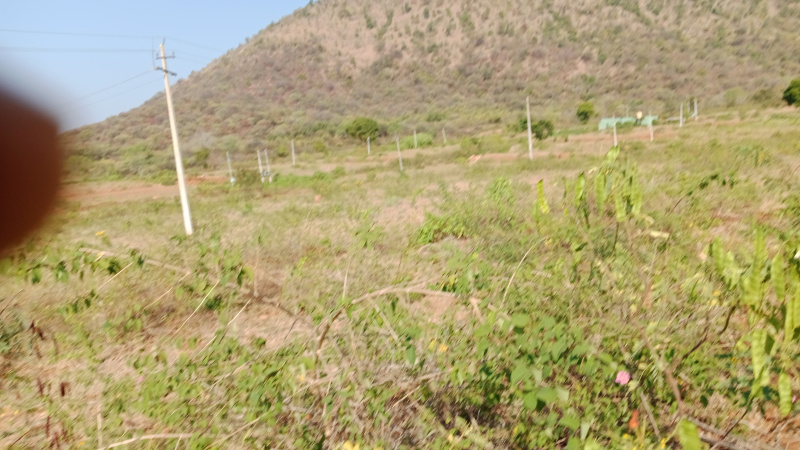 5 Acre Agricultural/Farm Land for Sale in Uthangarai, Krishnagiri