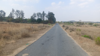 2 Acre Agricultural/Farm Land for Sale in Chintamani, Kolar