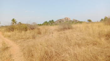 26 Acre Agricultural/Farm Land for Sale in Palacode, Dharmapuri