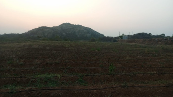 4 Acre Agricultural/Farm Land for Sale in Uddanapalli, Krishnagiri