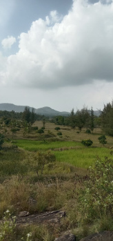 10 Acre Agricultural/Farm Land for Sale in Pandavapura, Mandya