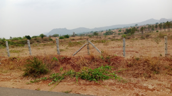 20 Acre Agricultural/Farm Land for Sale in Denkanikottai, Krishnagiri
