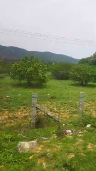 10 Acre Agricultural/Farm Land for Sale in Bargur, Krishnagiri