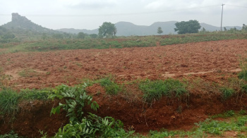 2.55 Acre Agricultural/Farm Land for Sale in Denkanikottai, Krishnagiri