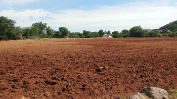 5 Acre Agricultural/Farm Land for Sale in Palacode, Dharmapuri