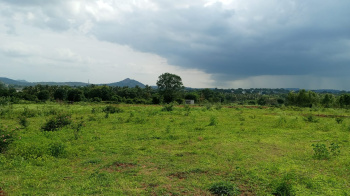 4 Acre Agricultural/Farm Land for Sale in Denkanikottai, Krishnagiri