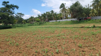 44 Guntha Agricultural/Farm Land for Sale in Ram Nagar, Coimbatore