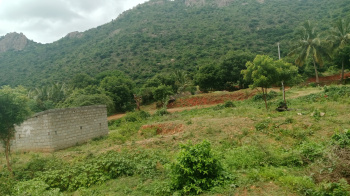 2.50 Acre Agricultural/Farm Land for Sale in Marandahalli, Dharmapuri