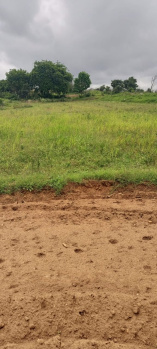 2.25 Acre Agricultural/Farm Land for Sale in Denkanikottai, Krishnagiri