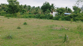 3 Acre Agricultural/Farm Land for Sale in Veppanapalli, Krishnagiri