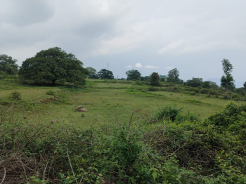 5 Acre Agricultural/Farm Land for Sale in Pavagada, Tumkur