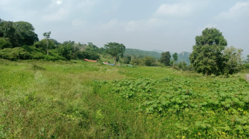 4 Acre Agricultural/Farm Land for Sale in Denkanikottai, Krishnagiri