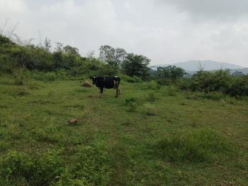 4 Acre Agricultural/Farm Land for Sale in Pavagada, Tumkur