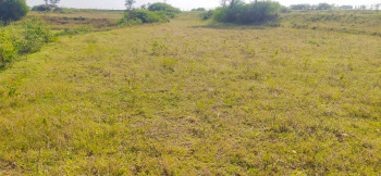 1 Acre Agricultural/Farm Land for Sale in Denkanikottai, Krishnagiri