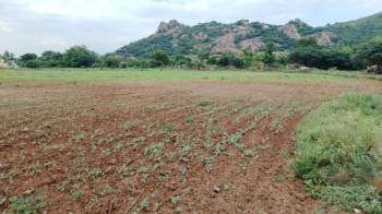 1.50 Acre Agricultural/Farm Land for Sale in Marandahalli, Dharmapuri