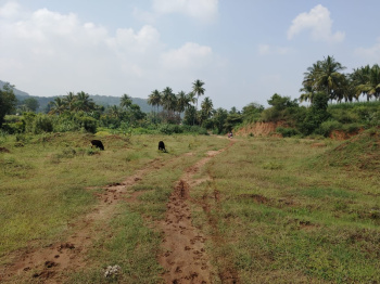 2 Acre Agricultural/Farm Land for Sale in Denkanikottai, Krishnagiri