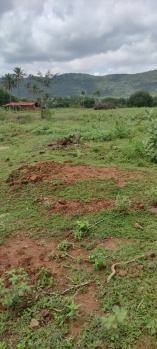 1 Acre Agricultural/Farm Land for Sale in Denkanikottai, Krishnagiri