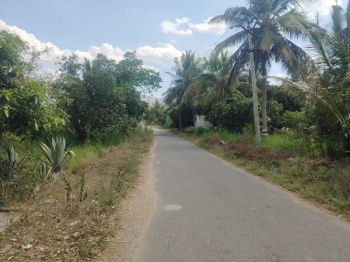 Agricultural/Farm Land for Sale in Kaveripattinam, Krishnagiri (30 Acre)