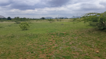 Agricultural/Farm Land for Sale in Pavagada, Tumkur (3.50 Acre)