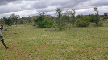 Agricultural/Farm Land for Sale in Pavagada, Tumkur (3.28 Acre)