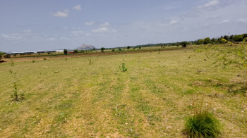 Agricultural/Farm Land for Sale in Berigai, Krishnagiri (1.60 Acre)