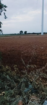 Agricultural/Farm Land for Sale in Kalyandurg, Anantapur (2 Acre)