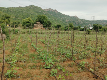 Agricultural/Farm Land for Sale in Palakkodu, Dharmapuri (1 Acre)