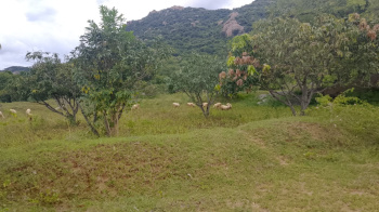 Agricultural/Farm Land for Sale in Palakkodu, Dharmapuri (3.15 Acre)