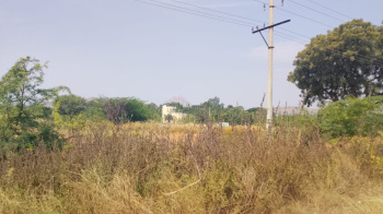 Agricultural/Farm Land for Sale in Pavagada, Tumkur (3.50 Acre)
