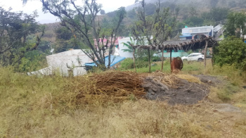 Agricultural/Farm Land for Sale in Palacode, Dharmapuri (4 Acre)