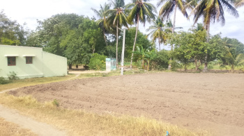Agricultural/Farm Land for Sale in Palakkodu, Dharmapuri (2.30 Acre)