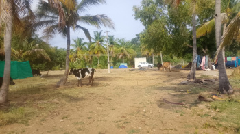 Agricultural/Farm Land for Sale in Palakkodu, Dharmapuri (4 Acre)