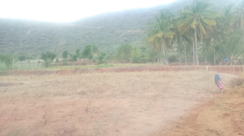 Agricultural/Farm Land for Sale in Marandahalli, Dharmapuri (2 Acre)