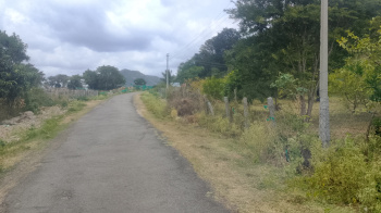 Agricultural/Farm Land for Sale in Marandahalli, Dharmapuri (5 Acre)