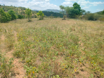 Agricultural/Farm Land for Sale in Palakkodu, Dharmapuri (9 Acre)