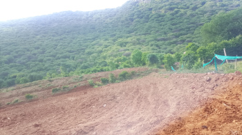 Agricultural/Farm Land for Sale in Denkanikottai, Krishnagiri (4 Acre)