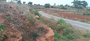 Agricultural/Farm Land for Sale in Denkanikottai, Krishnagiri (.50 Acre)