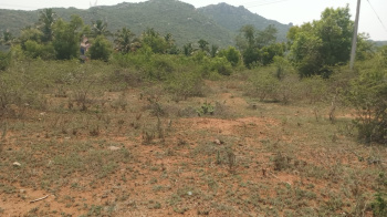 Agricultural/Farm Land For Sale In Pennagaram, Dharmapuri (5 Acre)