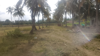 Agricultural/Farm Land For Sale In Palakkodu, Dharmapuri (11 Acre)