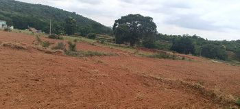 Agricultural/Farm Land For Sale In Denkanikottai, Krishnagiri (1.80 Acre)