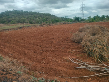 Agricultural/Farm Land for Sale in Madakasira, Anantapur (10 Acre)