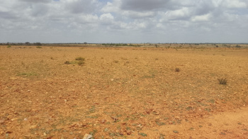 Agricultural/Farm Land for Sale in Penukonda, Anantapur (17 Acre)