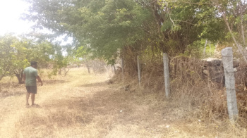 Agricultural/Farm Land for Sale in Palakkodu, Dharmapuri (50 Cent)