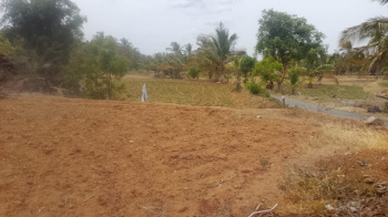 Agricultural/Farm Land for Sale in Marandahalli, Dharmapuri (1 Acre)