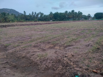 Farm House for Sale in Marandahalli, Dharmapuri (2 Acre)