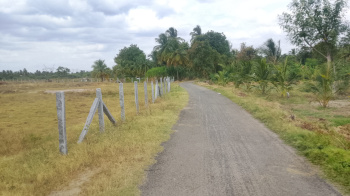 Agricultural/Farm Land for Sale in Uddanapalli, Krishnagiri (50 Cent)